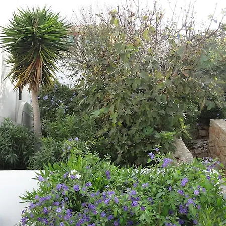 Cabana Apartament